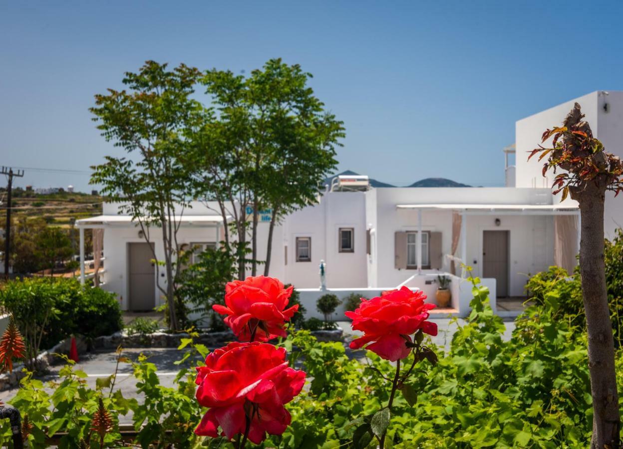 Hébergement de vacances Milos Dream Life